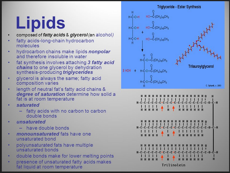 lipids waco chattanooga lipper index money